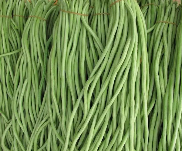 豆角